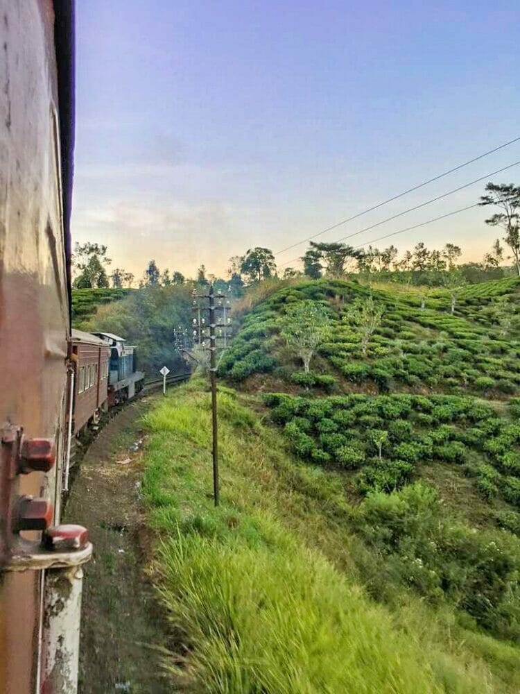 Train through tea fields in Sri Lanka