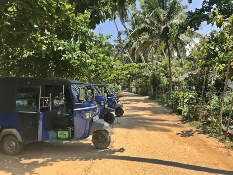 Tuk tuk rides in Sri Lanka