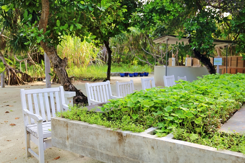 Chefs Garden at Kanuhura Maldives