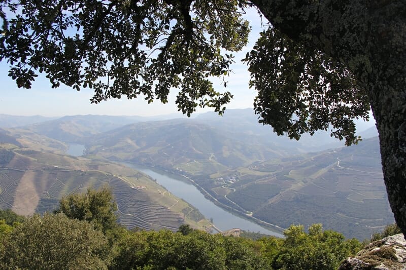 Douro Valley in Portugal day trip from Porto