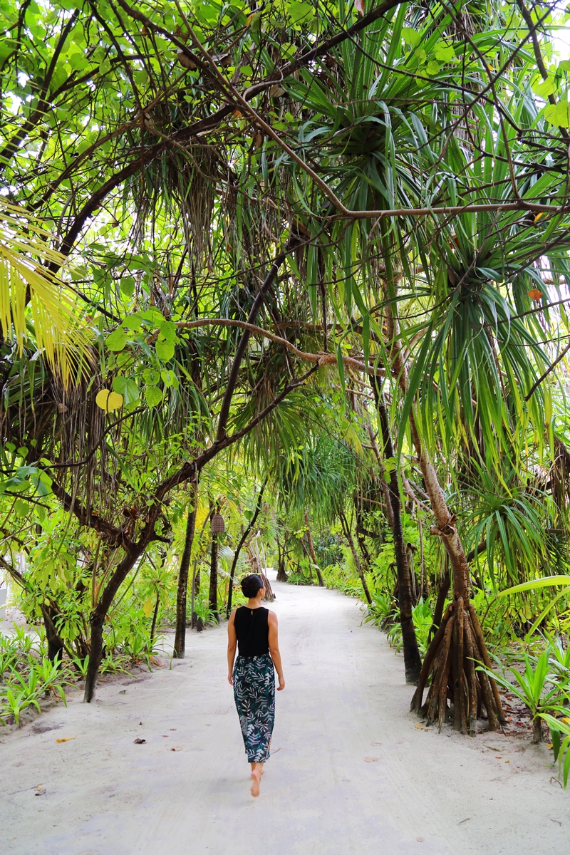 Jungle path at Kanuhura Maldives