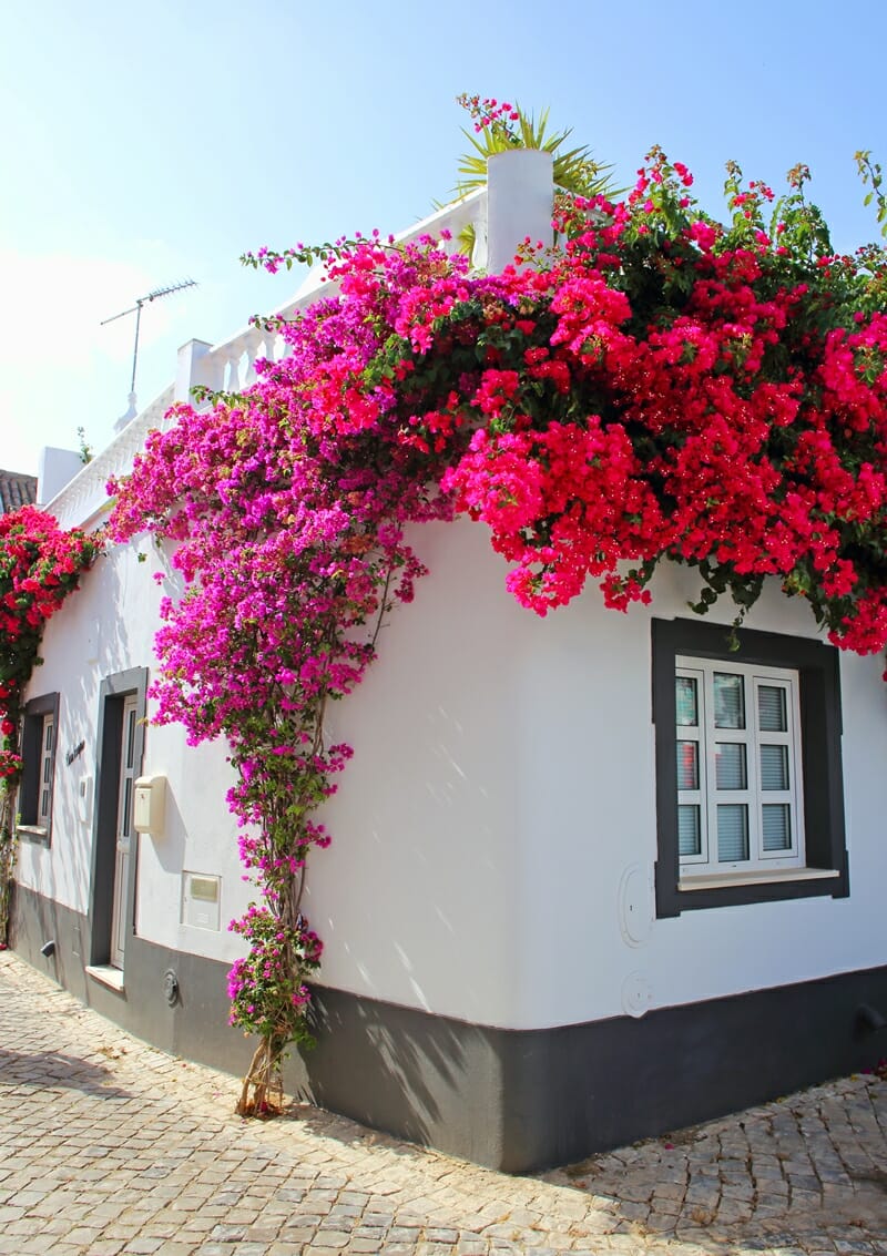 Tavira Algarve Portugal