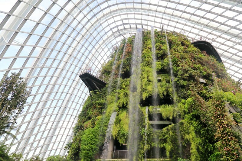 Cloud Forest in Singapore