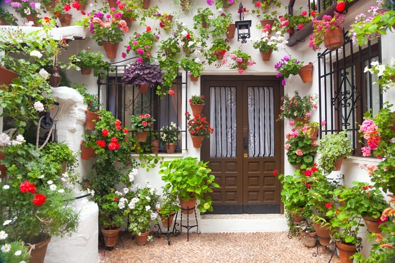 Flowers Decoration of Vintage Courtyard, typical house in Cordoba - Spain, European travel