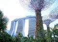 Marina Bay Sands and Gardens by the Bay in Singapore