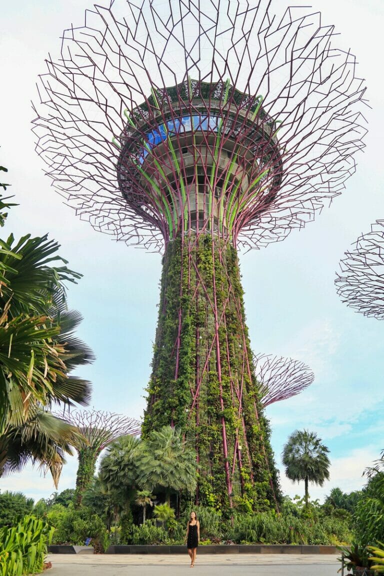 Supertree Grove in Singapore edited