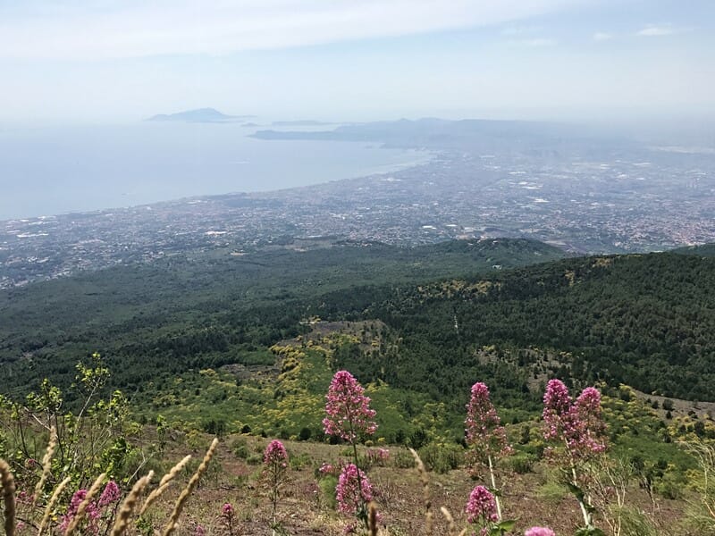 View from Mount Vesuvius Italy