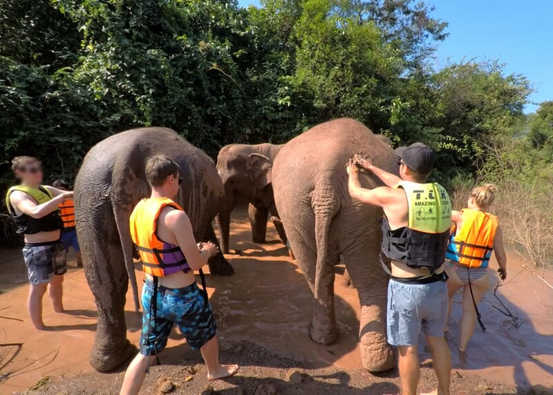 Vang Vieng Elephant Sanctuary in Laos