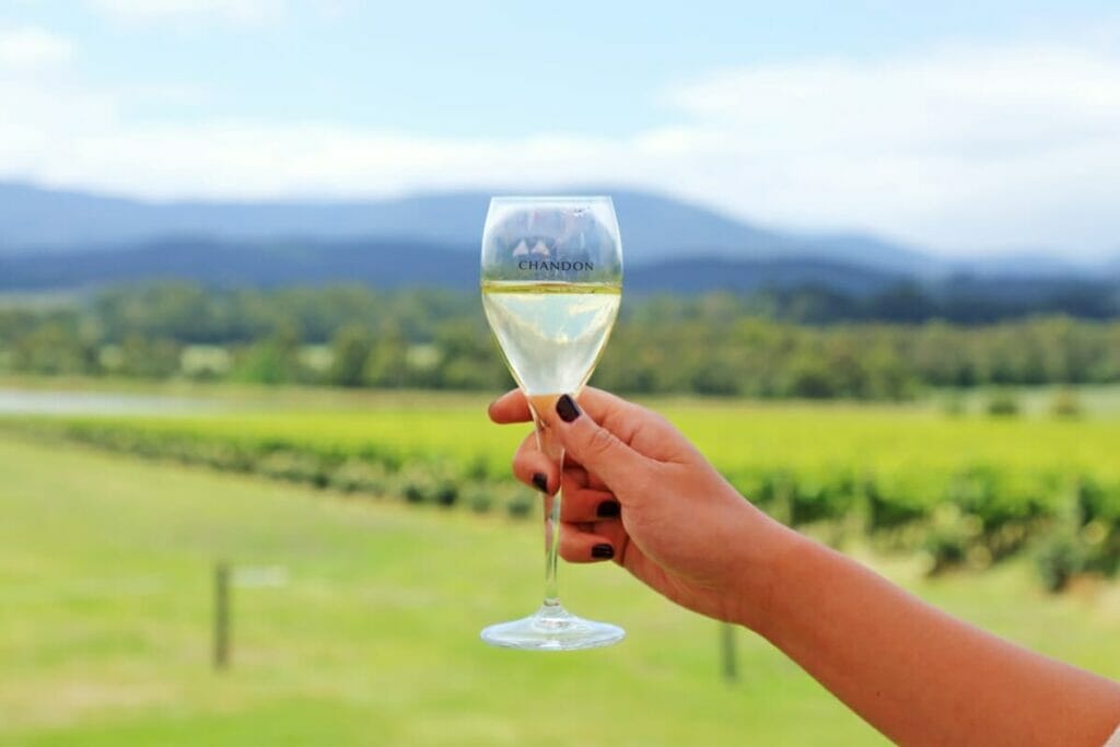Visit Yarra Valley The Best Melbourne Day Trip for Wine Lovers