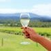 Domaine Chandon winery in Yarra Valley Australia