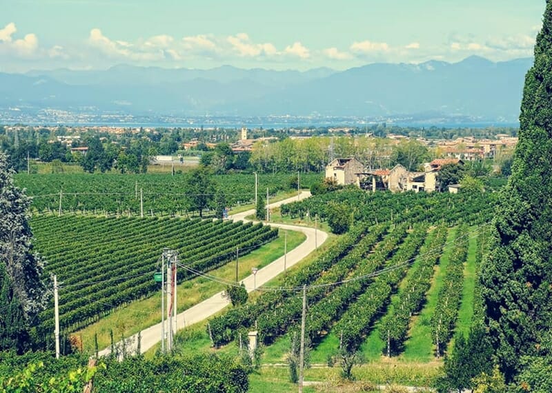 Lugana wine region in Italy
