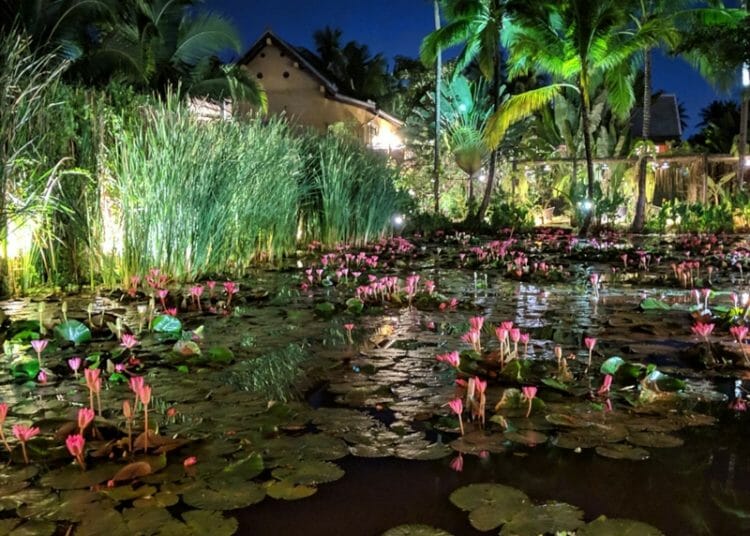 Manda de Laos lily ponds in Luang Prabang