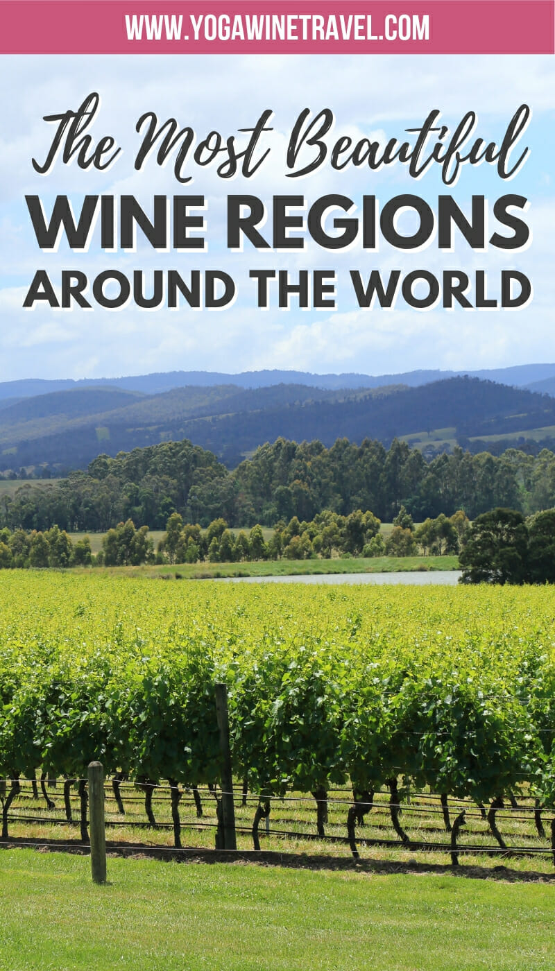 Stunning Wine Regions Around the World That You Must Visit