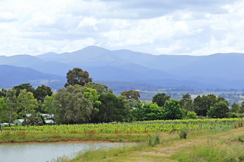 View from Medhurst Wines in Yarra Valley Australia