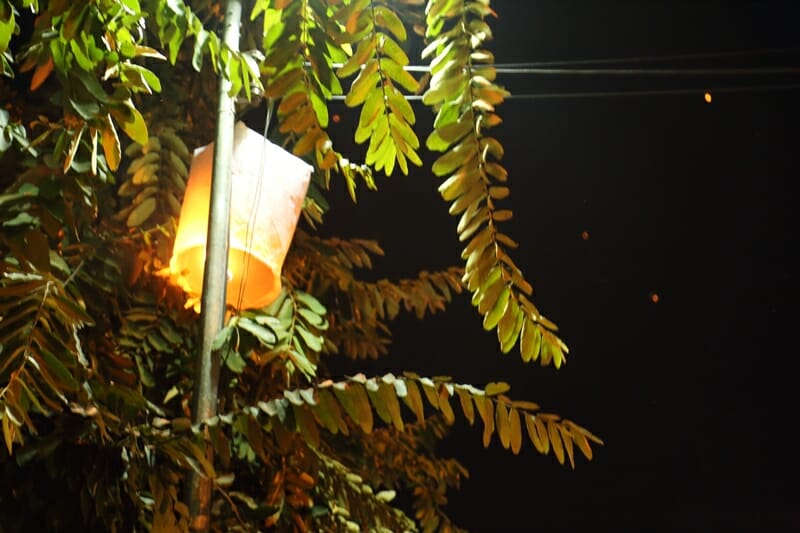 Yi Peng Lantern Festival in Chiang Mai Thailand lanterns in power lines