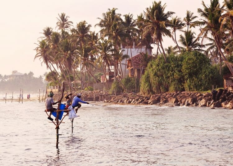Stilt fishermen in southern Sri Lanka 1