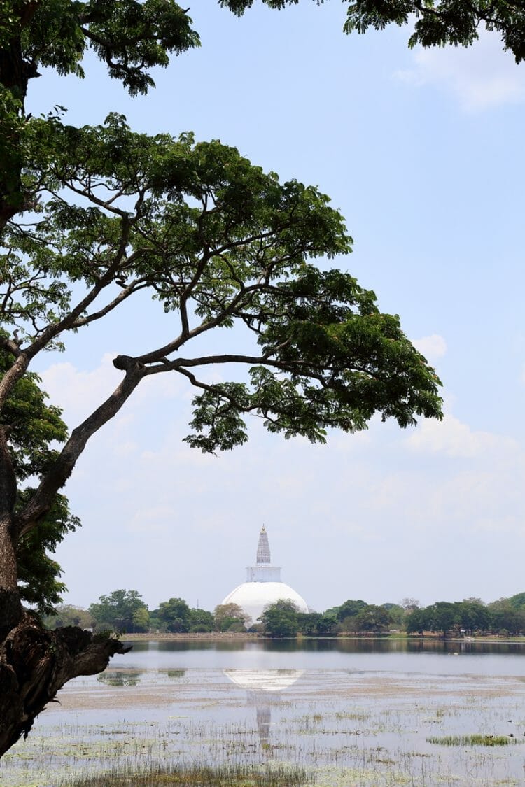 Anuradhapura scenic viewpoint in Sri Lanka