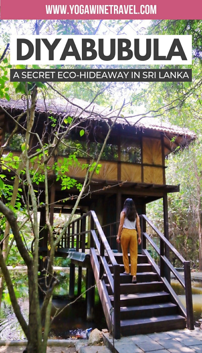 Woman walking up treehouse in Sri Lanka with text overlay