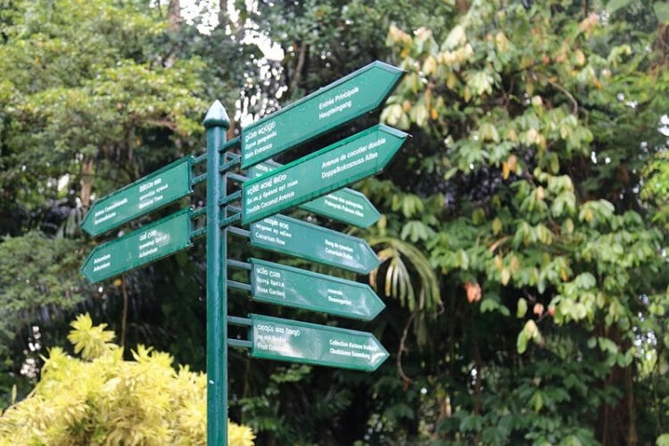 Royal Botanical Gardens in Kandy Sri Lanka