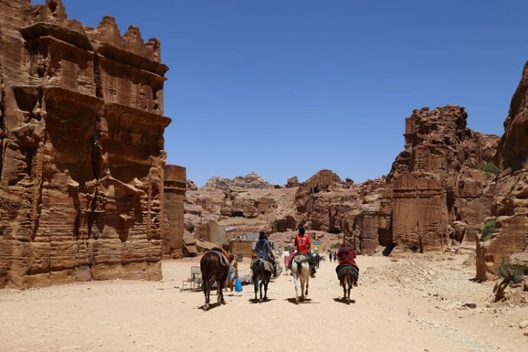Donkeys in Petra Jordan