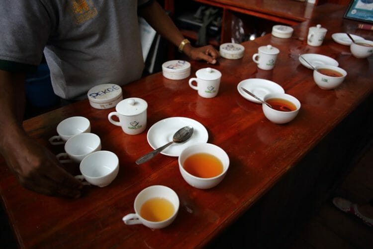 Tasting tea at Uva Halpewatte Tea Factory in Ella Sri Lanka