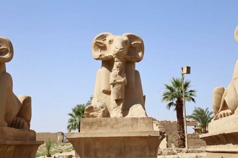 Ram-headed sphinx Avenue of Sphinxes in Luxor Egypt