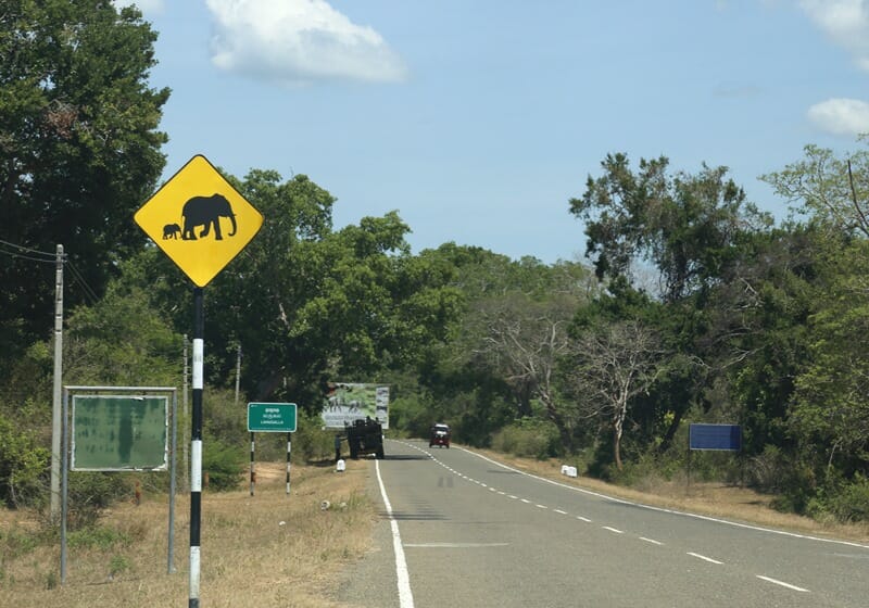 Elephant road sign in Sri Lanka
