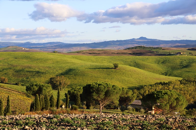Rolling hills in Val d'Orcia in Tuscany Italy