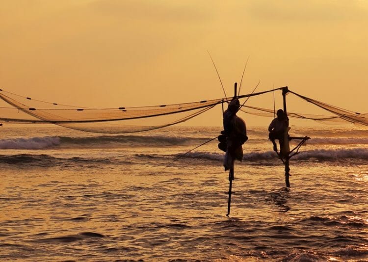 Silhouettes of stilt fishermen in Sri Lanka at sunset