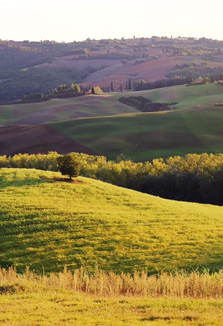 Valleys in Val d'Orcia in Tuscany Italy