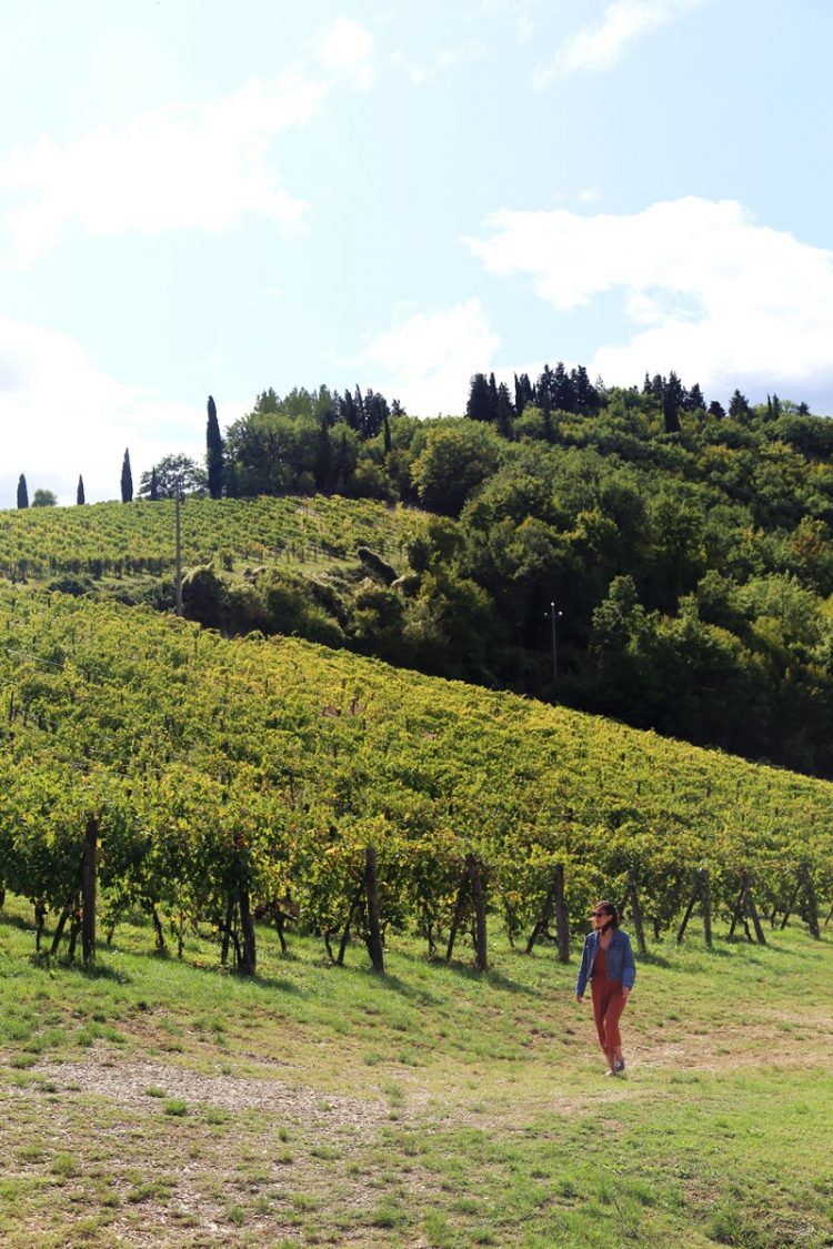 Walking among vineyards in Chianti Italy