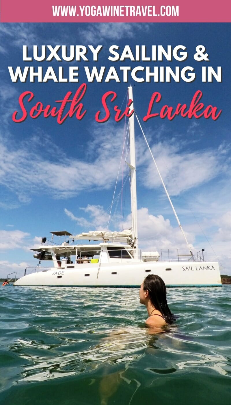 Luxury whale watching cruise with Sail Lanka in Sri Lanka with text overlay