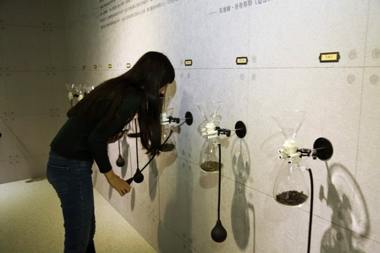 Interactive exhibit at the Pinglin Tea Museum in Taiwan