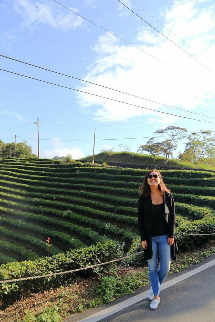 Standing in front of tea plantations in Shiding Taiwan