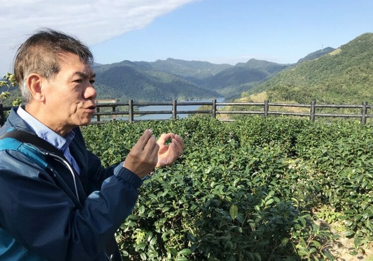 Tour to Thousand Island Lake and tea plantations in Shiding Taiwan
