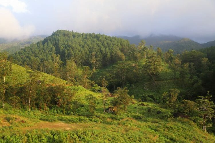 Mountains in Central Highlands of Sri Lanka near Kandy