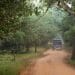 Safari jeep in Wilpattu National Park Sri Lanka