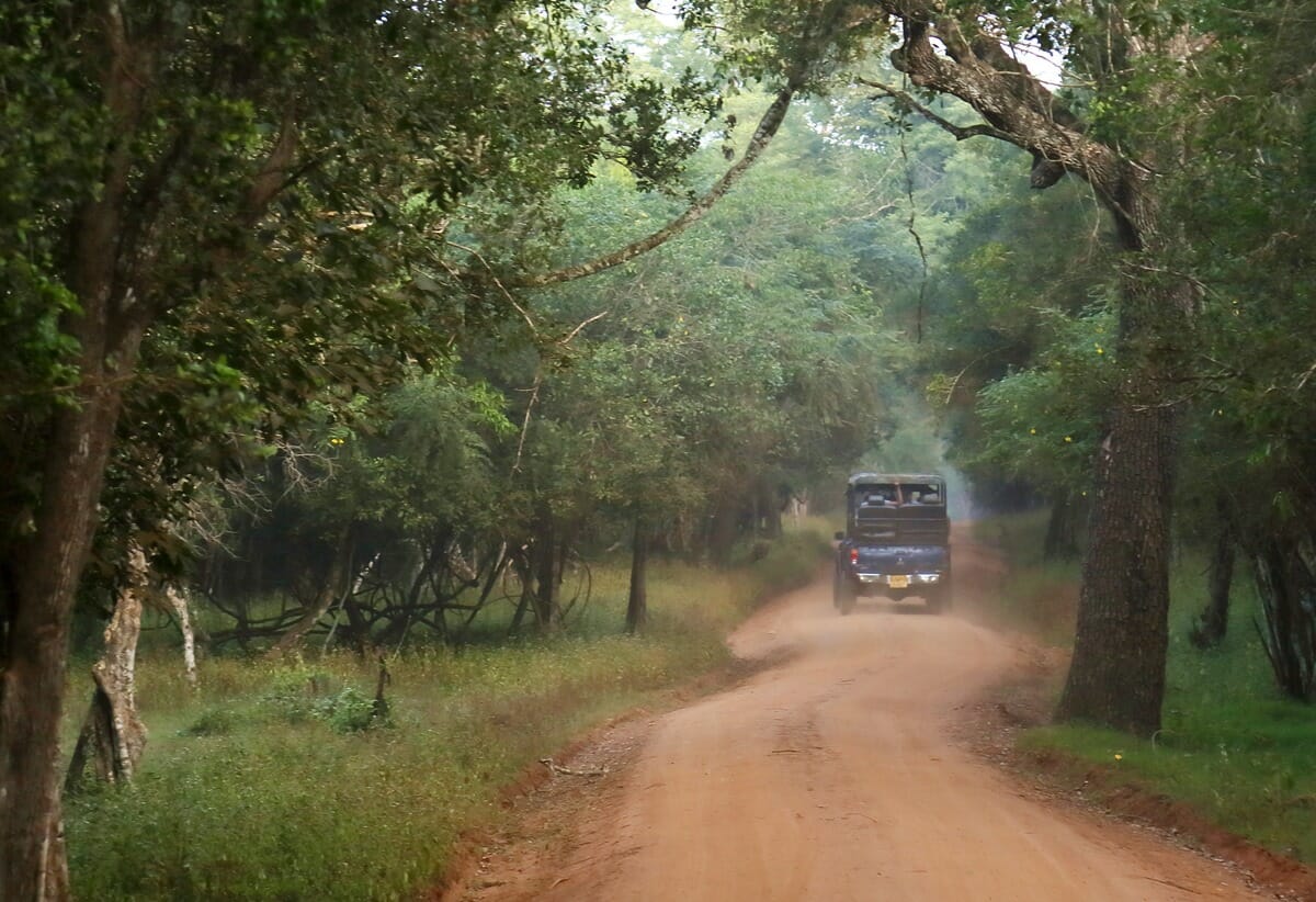 Safari jeep in Wilpattu National Park Sri Lanka