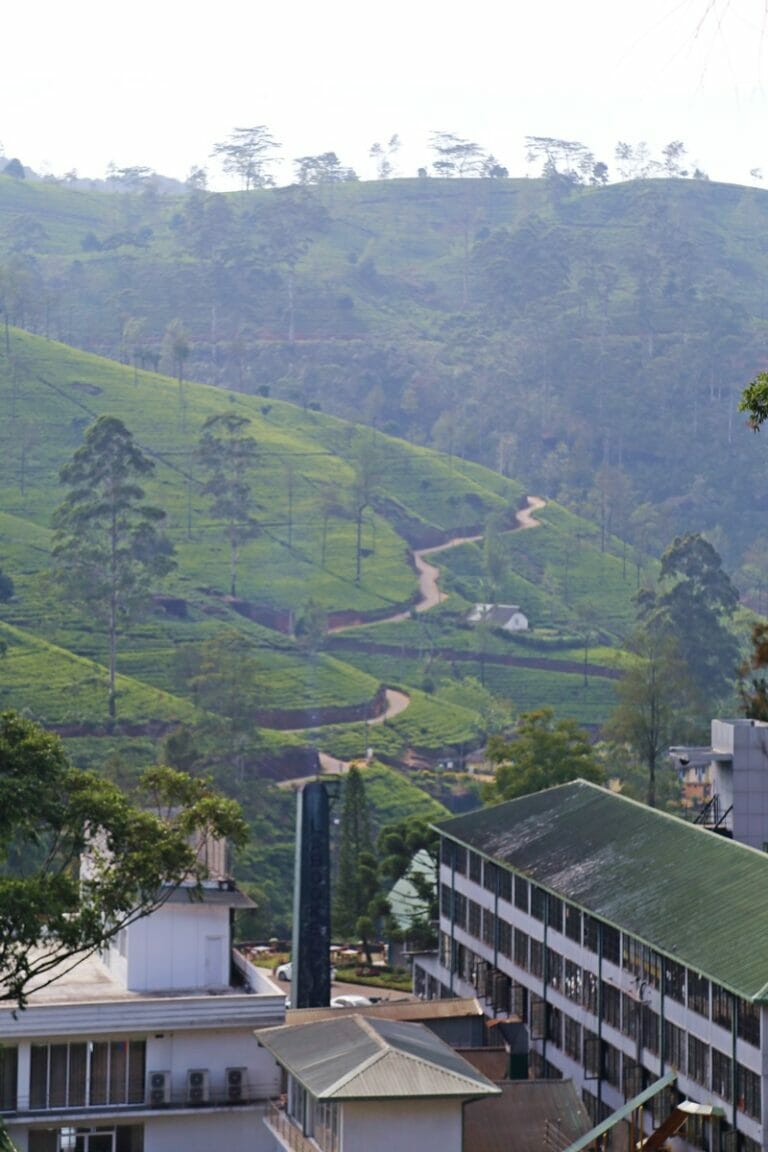 Tea plantations and factories in Nuwara Eliya Sri Lanka