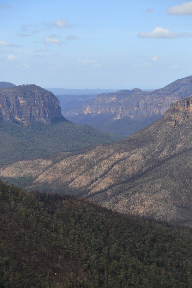 View from Govetts Leap in the Blue Mountains in Australia portrait