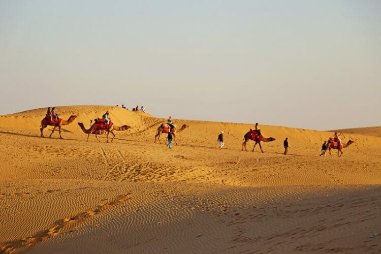 Camel safari in Thar Desert near Jaisalmer in India