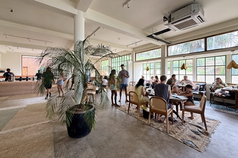 Malkoha in Hiriketiya Sri Lanka