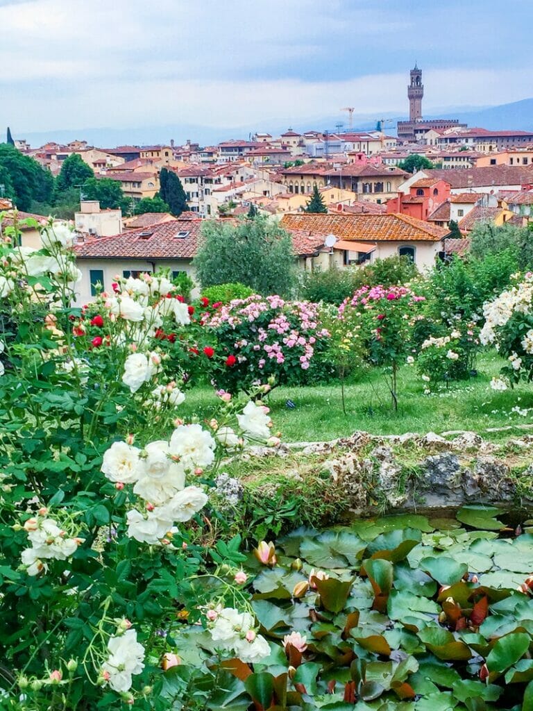 Rose garden view of Florence from above