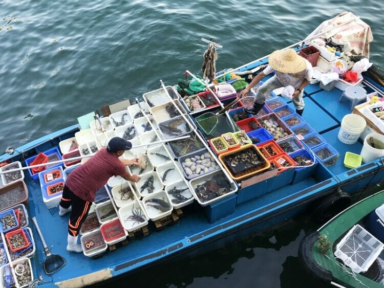 Fishermen in Sai Kung Hong Kong