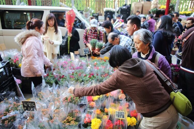 Flower market during Chinese New Year in Hong Kong
