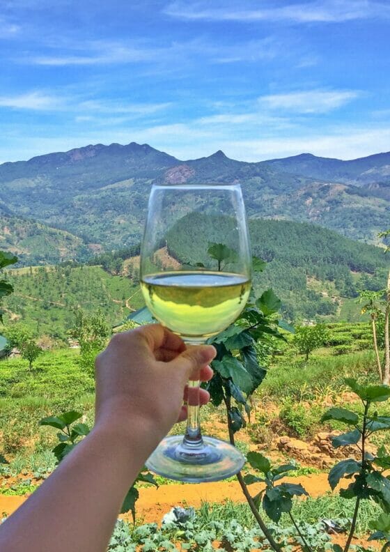 12 Things You Should Know Before Going to Sri Lanka Yoga, Wine & Travel