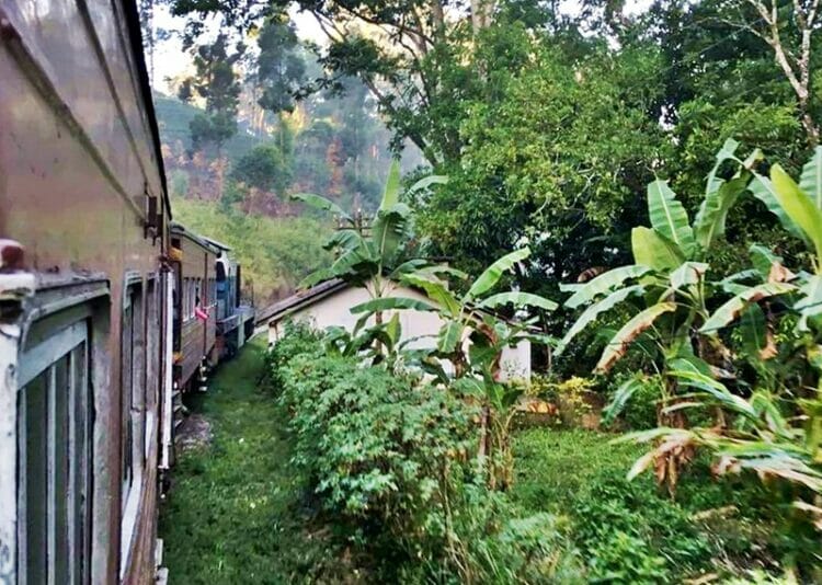 Train slinking between small villages in Sri Lanka