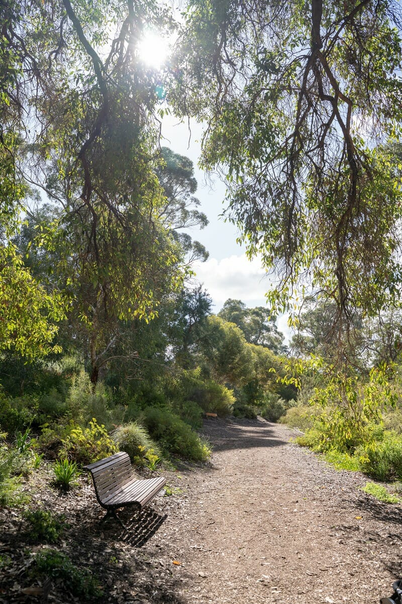 Park bench in Kings Park in Perth Australia