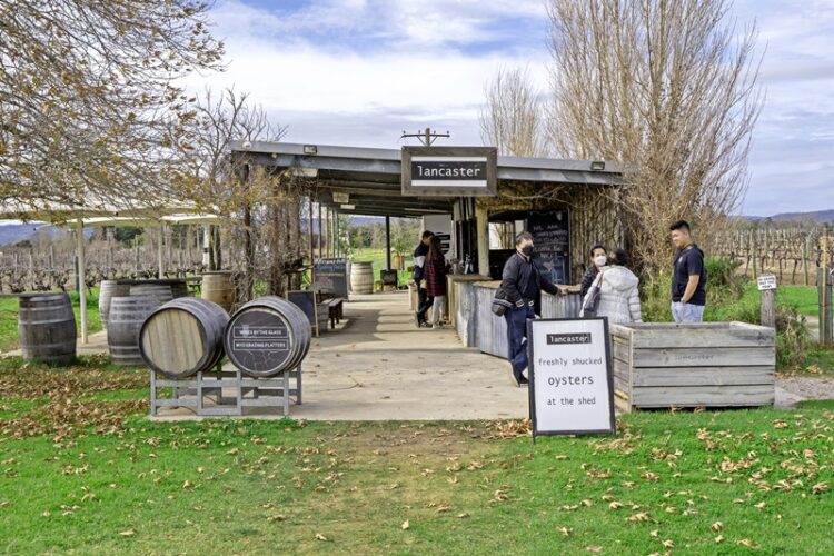 Tasting Shed at Lancaster Wines in Swan Valley wine region