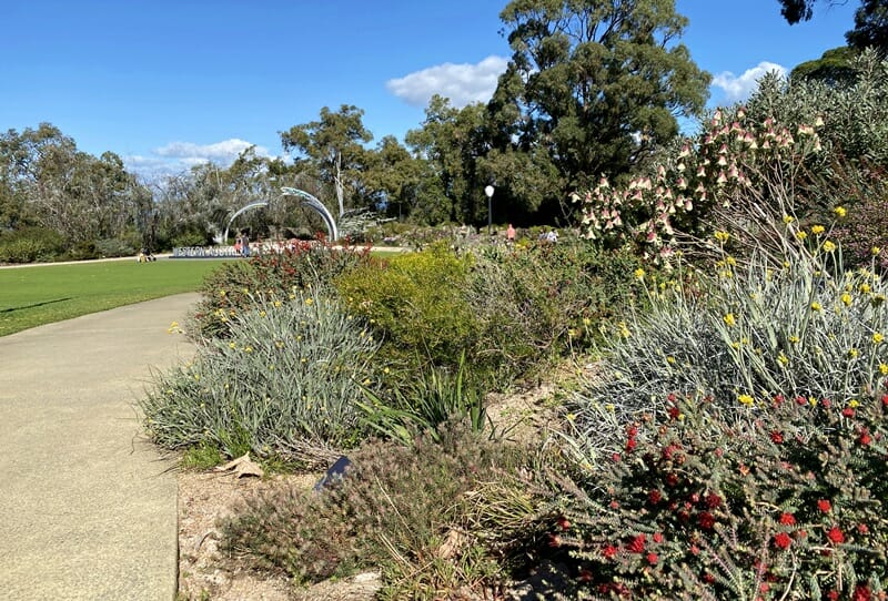 WA Botanic Garden in Kings Park Australia